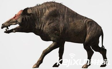 八大最恐怖史前生物盘点 霸王狗VS恐怖猪